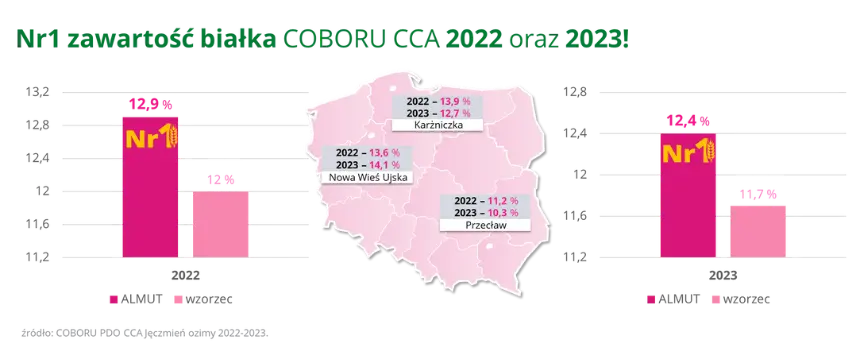 Jeczmien ozimy ALMUT Nr1 zawartosc bialka COBORU CCA 2022 oraz 2023