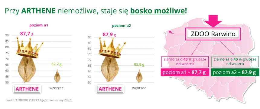 Jeczmien ozimy ARTHENE poziom a1 i a2