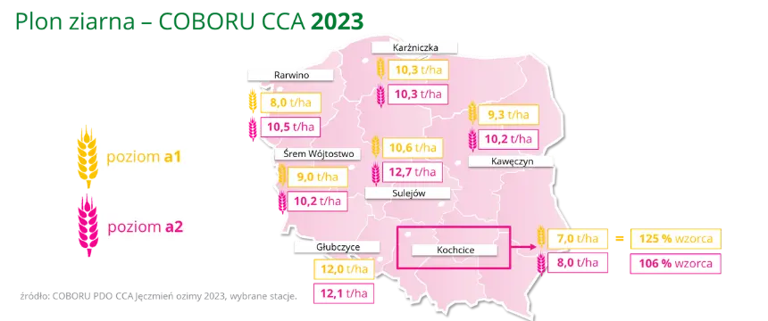 Jeczmien ozimy BIANCA Plon ziarna COBOCU CCA 2023