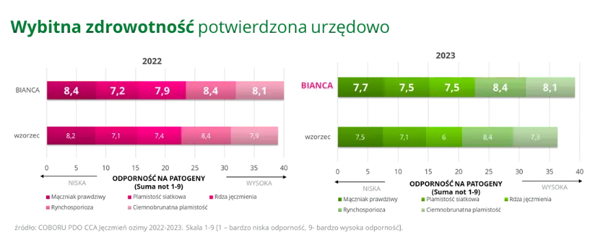 Jeczmien ozimy BIANCA wybitna zdrowotnosc potwierdzona urzedowo