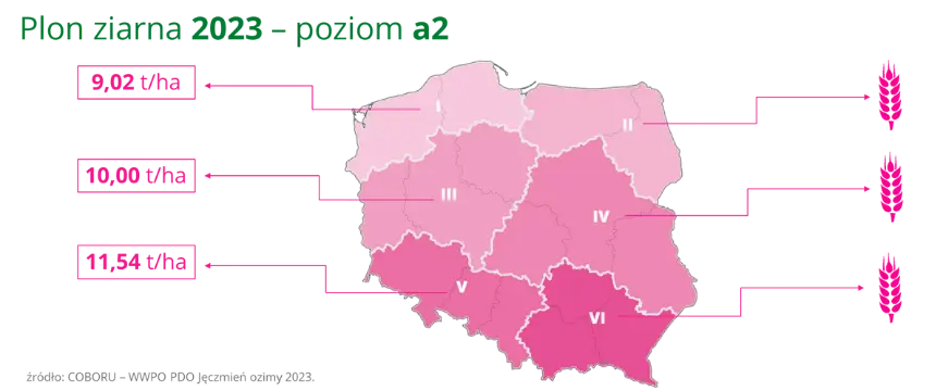 Jeczmien ozimy MELIA Plon ziarna 2023 poziom a2