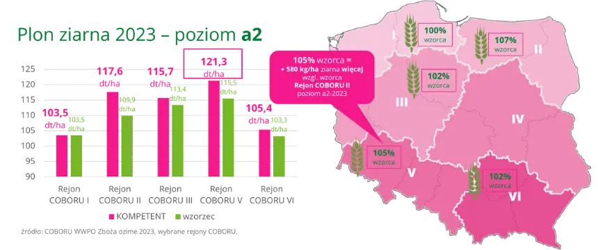 Pszenica ozima KOMPETENT Plon ziarna 2023 – poziom a2