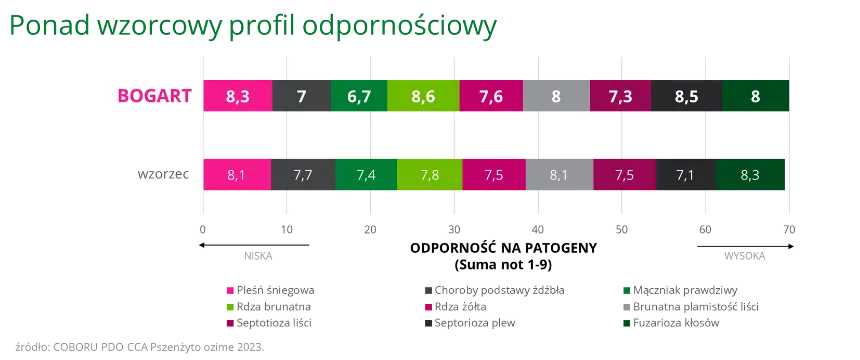 Pszenzyto ozime BOGART Ponadwzorcowy profil odpornosciowy