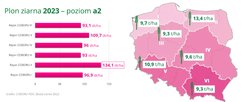 Pszenzyto ozime PRESLEY Plon ziarna 2023 poziom a2