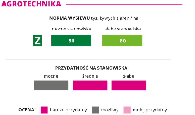 agrotechnika kukurydza Codigip norma wysiewu