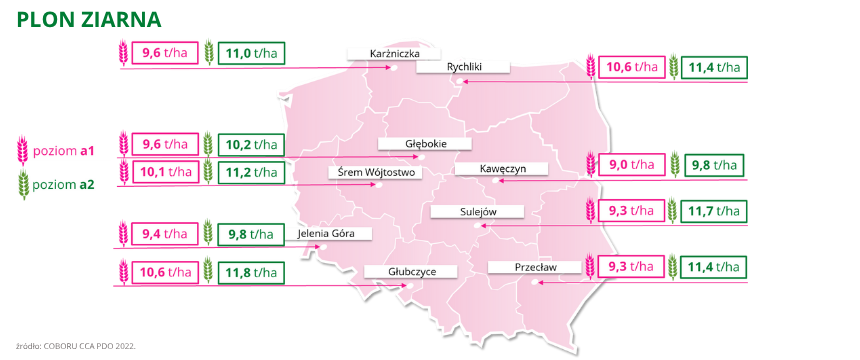 jęczmień ozimy Almut plon ziarna COBORU CCA PDO 2022