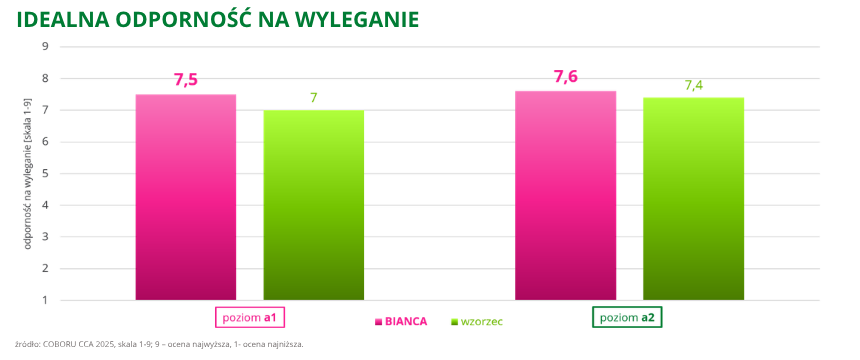 jęczmień ozimy Bianca idealna odporność na wyleganie COBORU CCA 2025