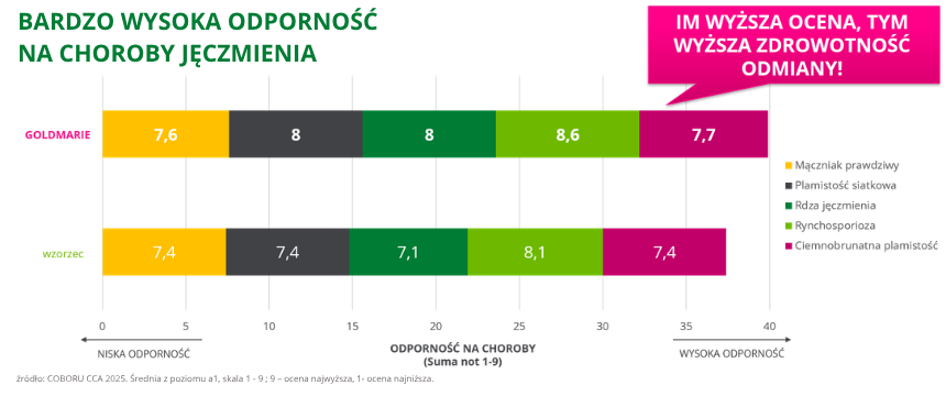jęczmień ozimy Goldmarie bardzo wysoka odporność na choroby jęczmienia COBORU CCA 2025