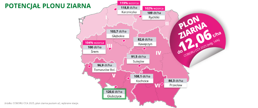 jęczmień ozimy Goldmarie potencjał plonu ziarna do 12,06 t ha COBORU CCA 2025