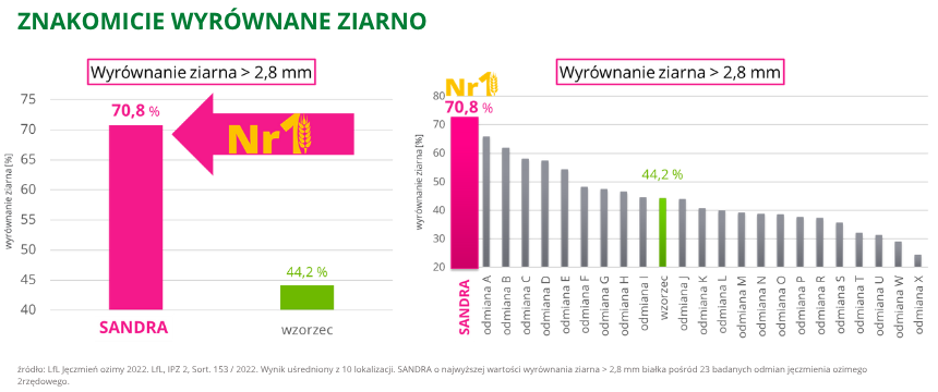 jęczmień ozimy Sandra znakomicie wyrównanie ziarno LfL 2022
