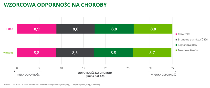 oścista pszenica ozima foxx wzorcowa odporność na choroby coboru cca 2025