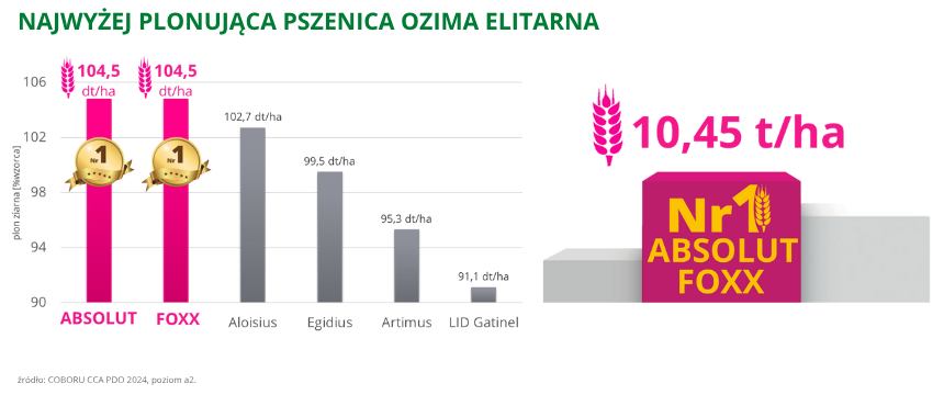 pszenica ozima Absolut Najwyżej plonująca pszenica ozima elitarna poziom a2 COBORU CCA PDO 2024