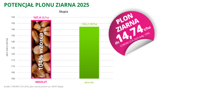 pszenica ozima Absolut potencjał plonu ziarna do 14,74 t ha coboru cca 2025