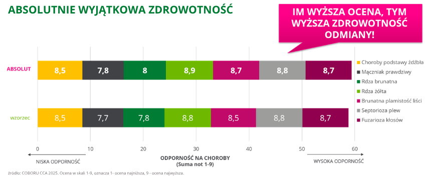 pszenica ozima Absolut wyjątkowa zdrowotność coboru cca 2025