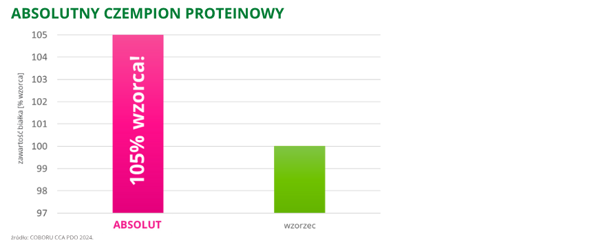 pszenica ozima Absolut zawartość białka 105% wzorca COBORU CCA PDO 2024