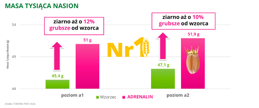 pszenica ozima Adrenalin Nr1 MTN COBORU PDO 2024