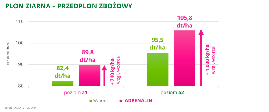 pszenica ozima Adrenalin plon ziarna przedplon zbożowy COBORU PDO 2024