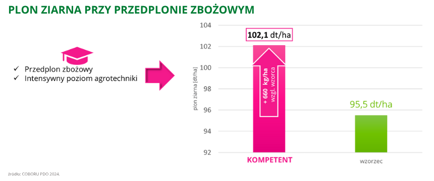 pszenica ozima Kompetent plon ziarna przy przedplonie zbożowym