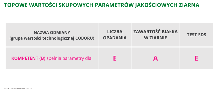 pszenica ozima Kompetent topowe wartości skupowych parametrów jakościowych ziarna COBORU LOORR 2025
