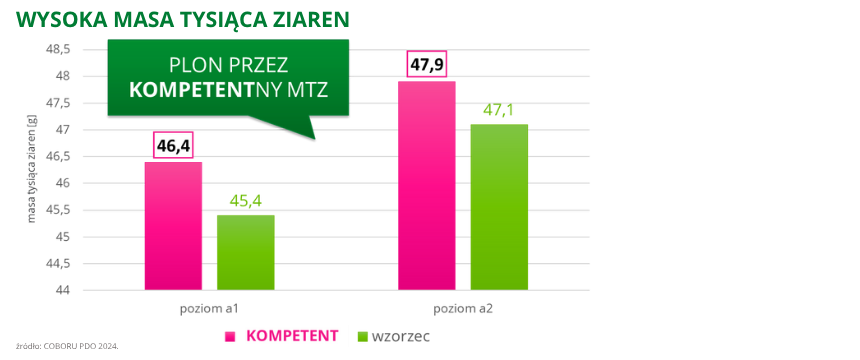 pszenica ozima Kompetent wysoka masa tysiąca ziaren COBORU PDO 2024