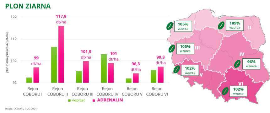 pszenica ozima adrenalin plon ziarna coboru pdo 2024