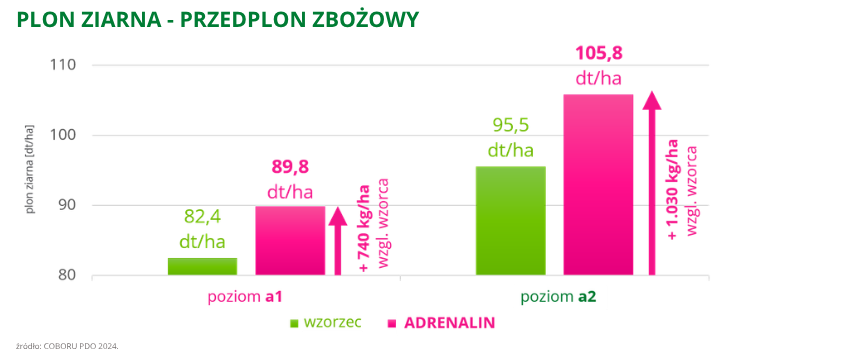 pszenica ozima adrenalin plon ziarna przedplon zbożowy coboru pdo 2024