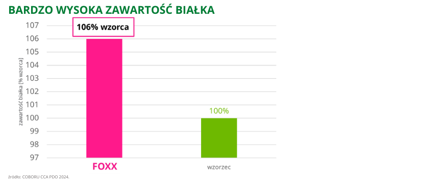 pszenica ozima oścista FOXX Bardzo wysoka zawartość białka COBORU CCA PDO 2024