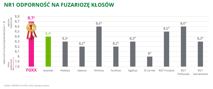 pszenica ozima oścista FOXX Nr1 odporność na fuzariozę kłosów COBORU CCA PDO 2023, odmiany ościste