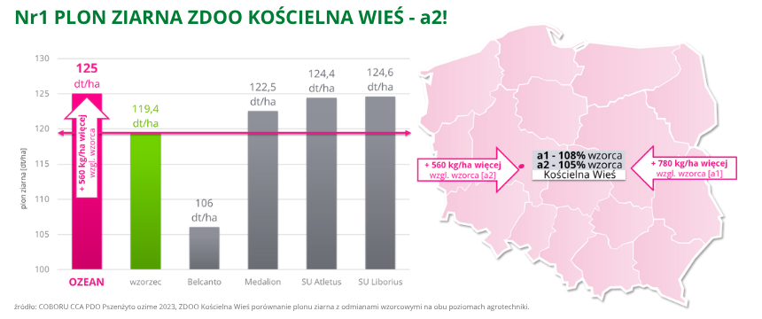 pszenżyto ozime Ozean Nr1 plon ziarna w ZDOO Kościelna Wieś poziom a2