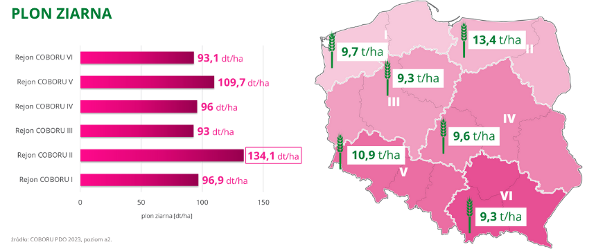 pszenżyto ozime Presley plon ziarna do 134,1 dt ha poziom a2 COBORU PDO 2023