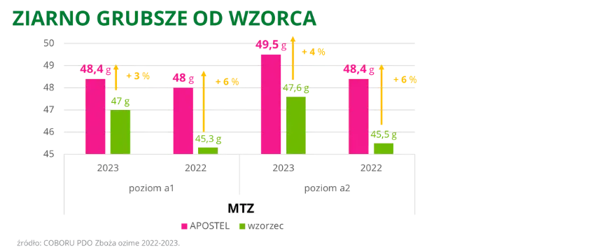 Pszenica ozima APOSTEL Ziarno grubsze od wzorca COBORU PDO 2023