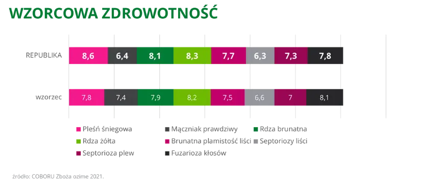 Pszenica ozima jakosciowa oscista REPUBLIKA Wzorcowa zdrowotnosc