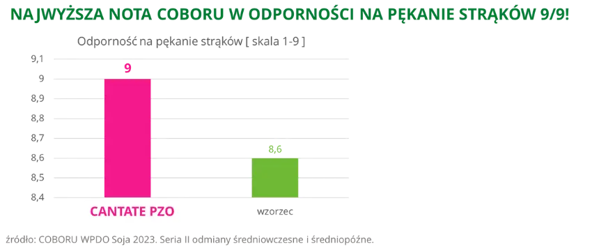 Soja CANTATE PZO najwyzsza nota COBORU w odpornosci na pekanie strakow 9 9 COBORU WPDO 2023