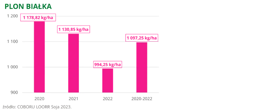 Soja MAGNOLIA PZO Plon bialka COBORU LOORR 2023