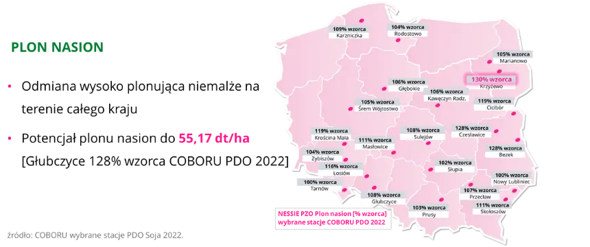 Soja NESSIE PZO Plon nasion COBORU PDO 2023 potencjal plonu do 5517 dt ha