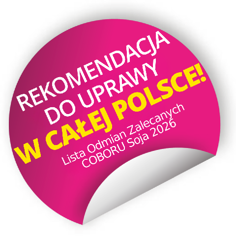 Vineta PZO LOZ 2026 cała Polska