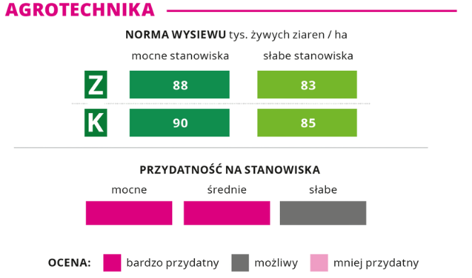 agrotechnika kukurydza Ismeri norma wysiewu