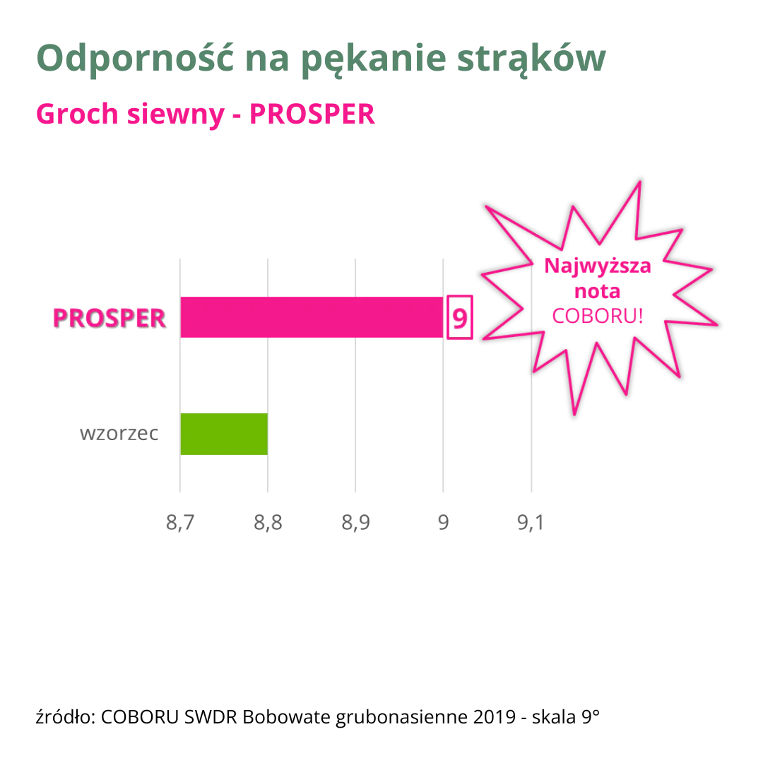 groch siewny prosper odpornosc na pekanie strakow wykres 1 v5