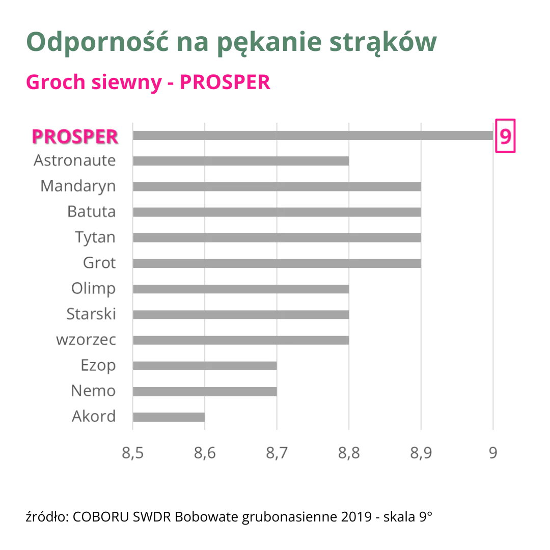 groch siewny prosper odpornosc na pekanie strakow wykres 2 v5