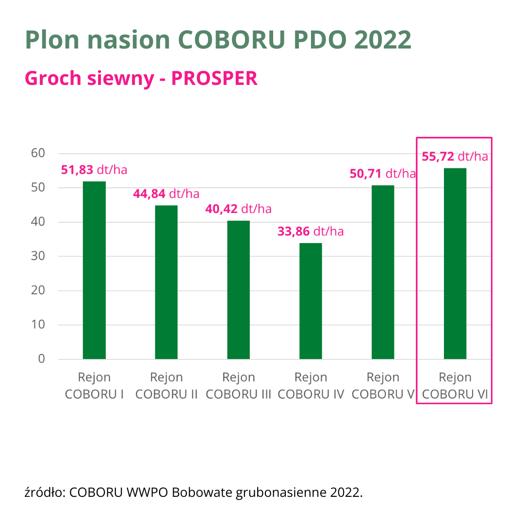 groch siewny prosper plon nasion coboru pdo 2022 wykres v5