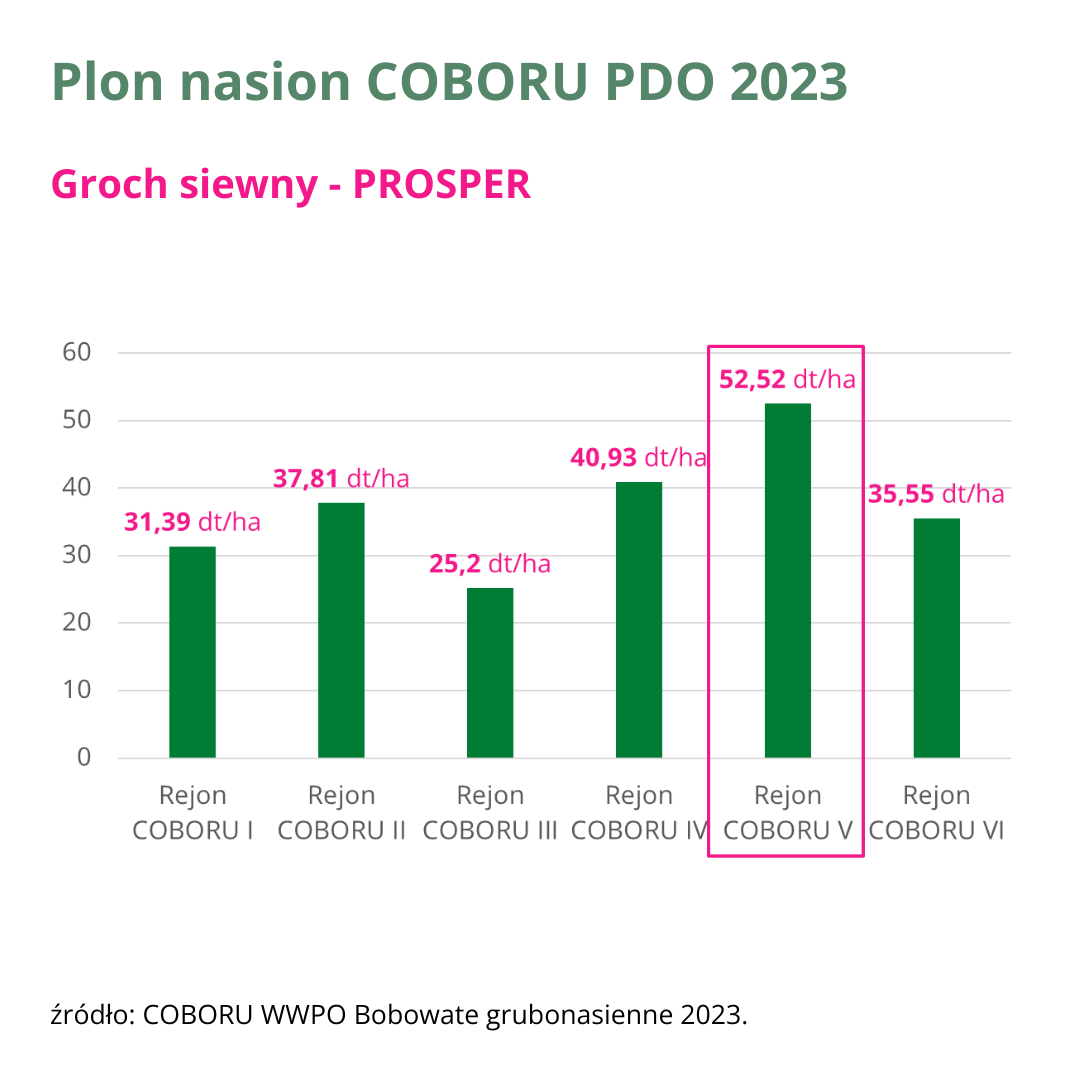 groch siewny prosper plon nasion coboru pdo 2023 wykres v5