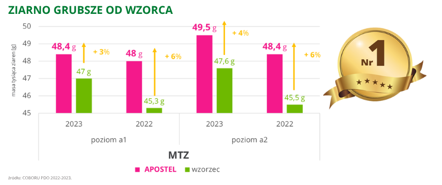 pszenica ozima Apostel ziarno grubsze od wzorca COBORU PDO 2022 2023