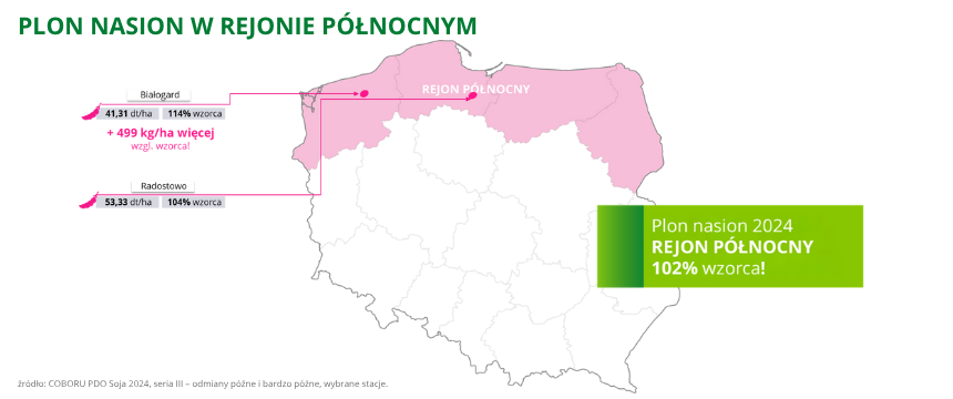 soja Ikone plon nasion w rejonie północnym