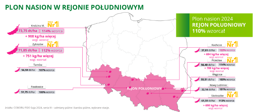 soja Ikone plon nasion w rejonie południowym