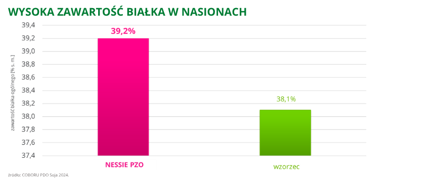 soja Nessie PZO wysoka zawartość białka w nasionach 39,2% COBORU PDO 2024