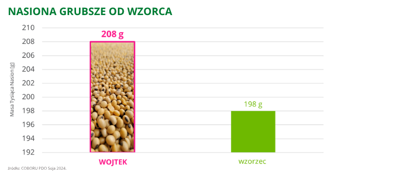 soja Wojtek nasiona grubsze od wzorca 208g COBORU PDO 2024