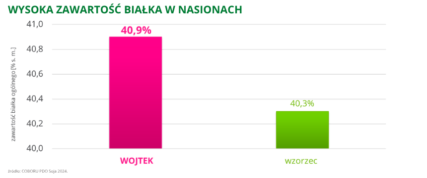 soja Wojtek wysoka zawartość białka w nasionach 40,9% COBORU PDO 2024
