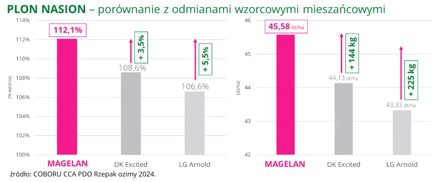 Rzepak ozimy MAGELAN Plon nasion COBORU 2024