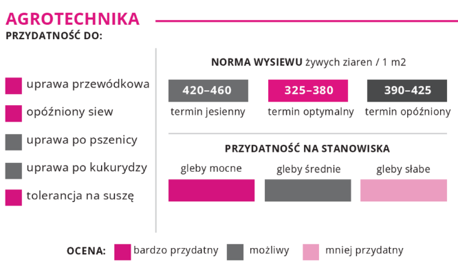 Agrotechnika pszenica jara STACHUS