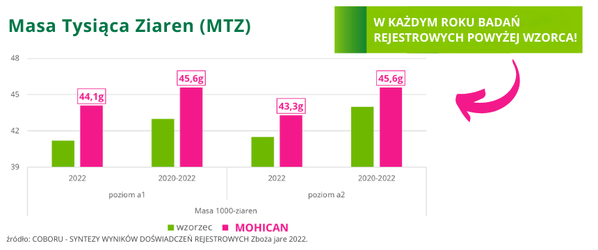 pszenica jara przewódkowa MOHICAN MTZ